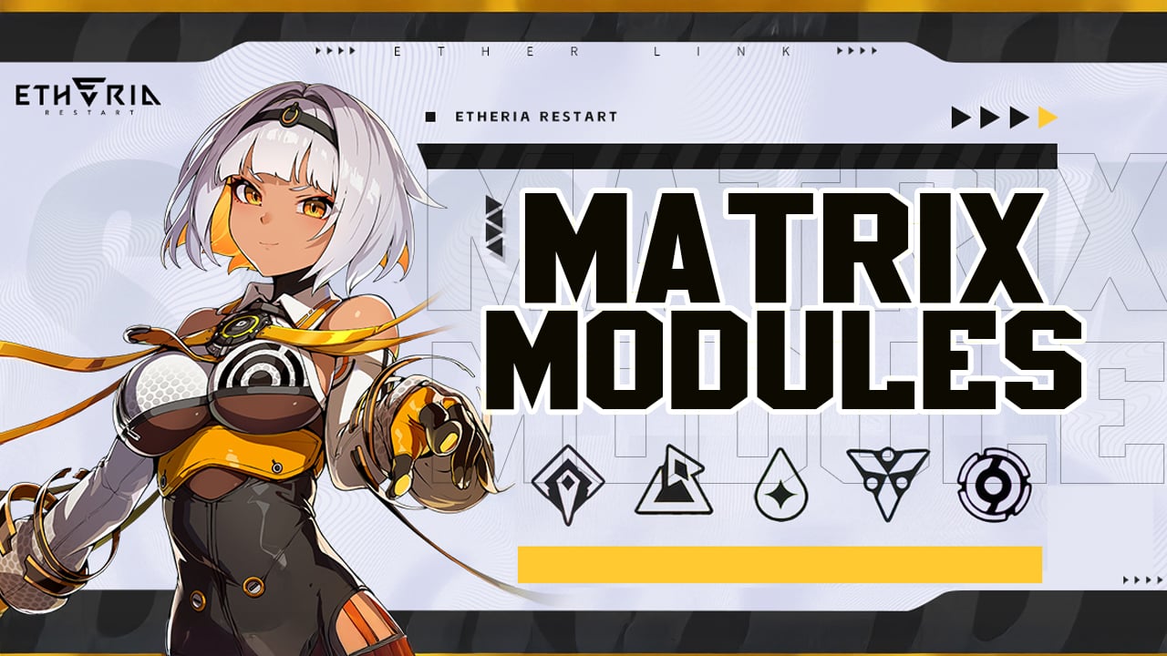 matrix_modules