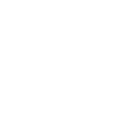 Invincibility_icon-min
