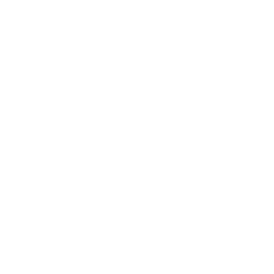 Shield_icon-min